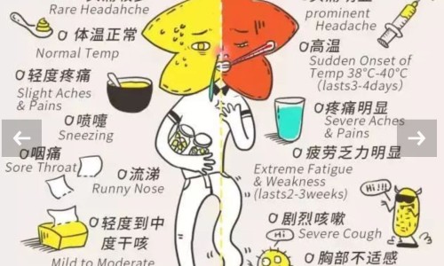 胆固醇结晶严重吗-胆固醇结晶治疗及用药网 - 网站提供胆固醇结晶怎么消除小常识、胆固醇结晶是胆结石吗